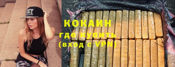 тгк Абаза