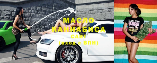 тгк Абаза