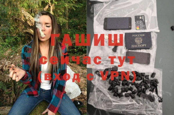 крисы Алзамай