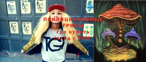 крисы Алзамай