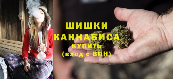 индика Протвино
