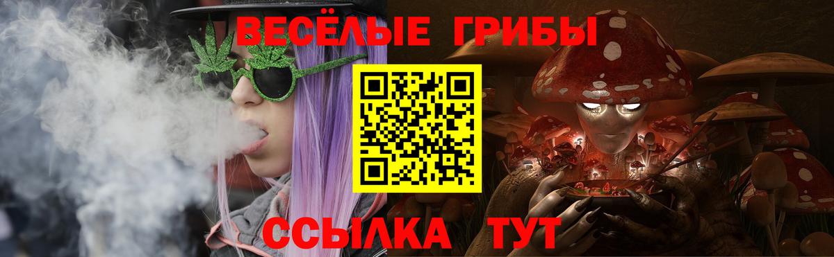 Тында  Псилоцибиновые грибы ЛСД  Вход с VPN 
